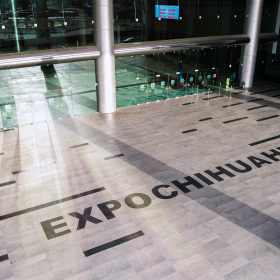 50_Expo (1)